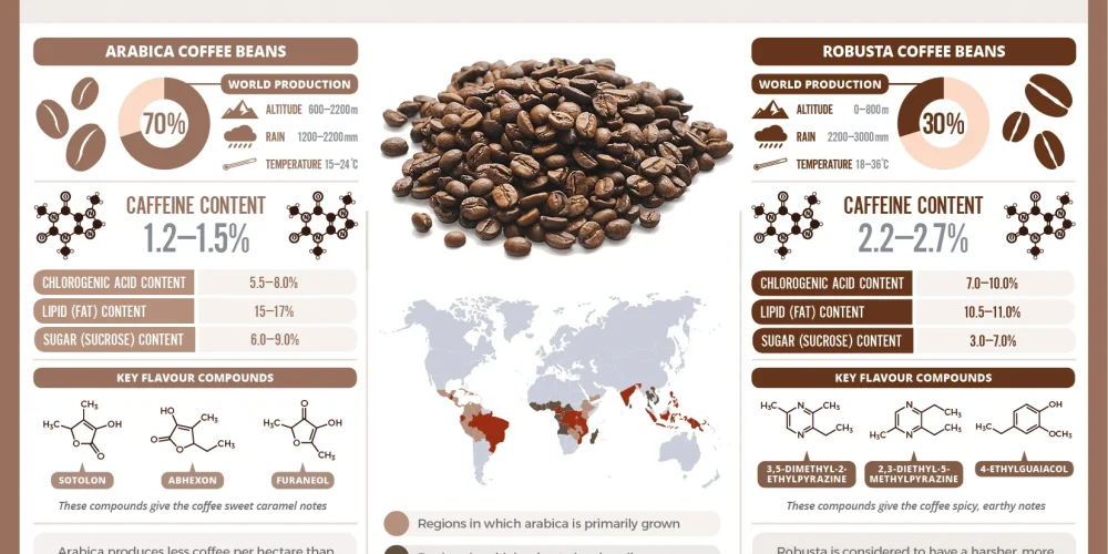 arabica-vs-robusta