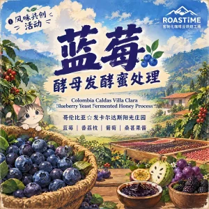 蓝莓