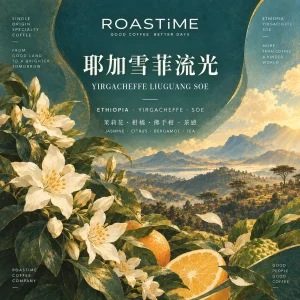 耶加雪菲流光 SOE