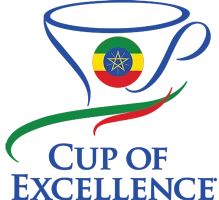 1680615951-ethiopiacoe_2020logo